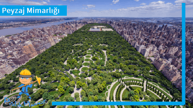 Peyzaj Mimarlığı; New York City Central Park