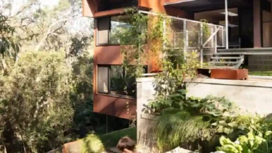 egimli arazide peyzaj