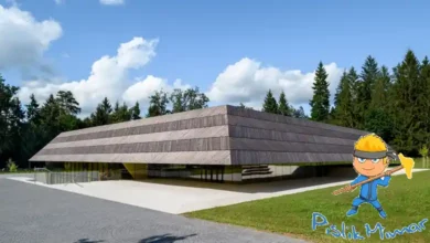 cesca vas, yüzme havuzu projesi