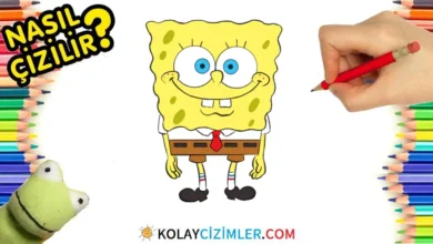 Sünger Bob Çizimi, Kolay Çizimler