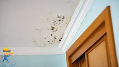 tavan nem ve rutubet oluşması