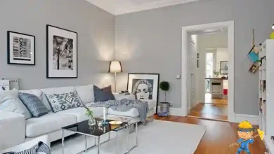 Açık Gri Duvar Boyası: Salon