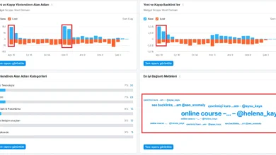 anti seo, backlink saldırı