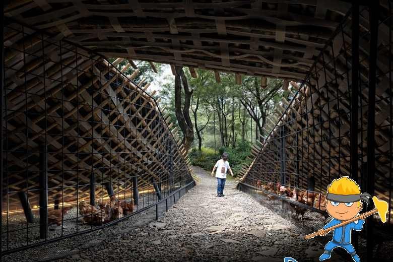 tavuk çiftliği projesi