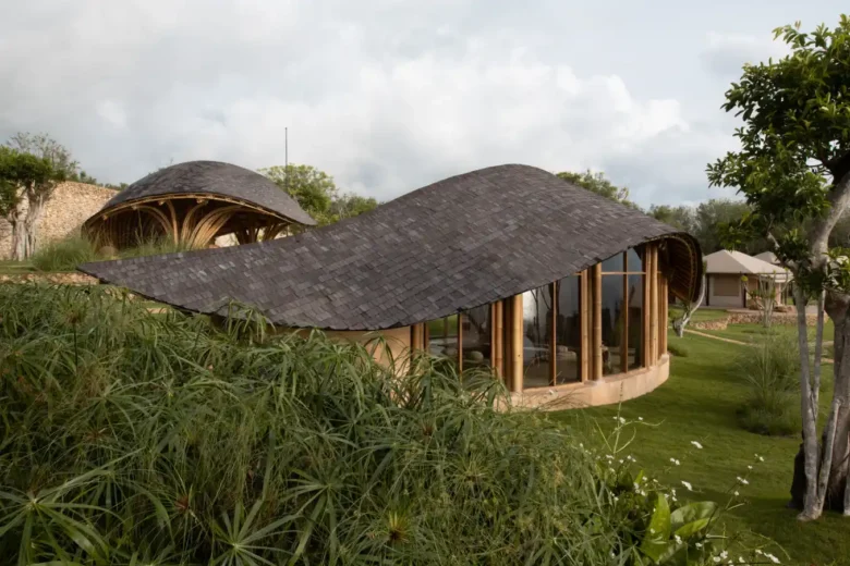 Fish Tail Tea Room, Cafe tasarımları