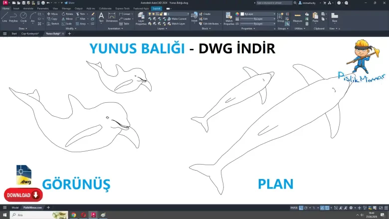 Yunus Balığı dwg, Yunus Balığı Çizimi, Dolphin CAD Blocks