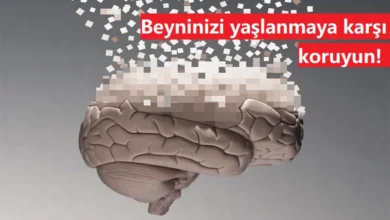beyin yaşlanması ve unutkanlık