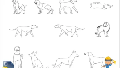 köpek dwg, dog dwg, autocad dwg