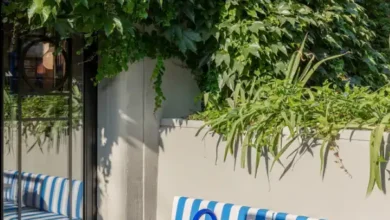 mağaza bahçe alanı tasarımı