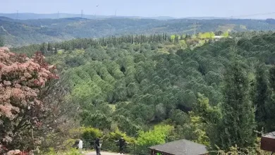 mimar sinan kent ormanı - 6