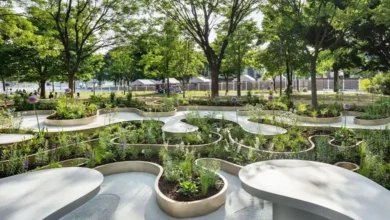 peyzaj bahce tasarimi