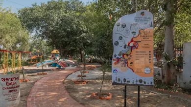 peyzaj çocuk parkı